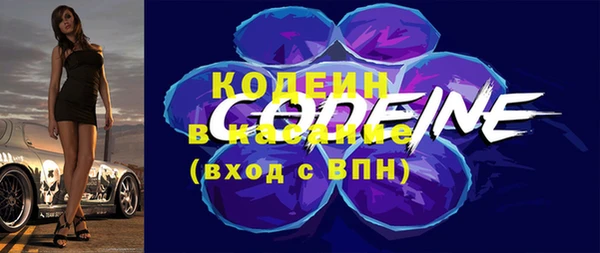 хмурый Арсеньев