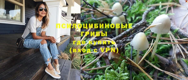 хмурый Арсеньев