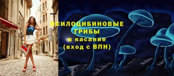 spice Армянск
