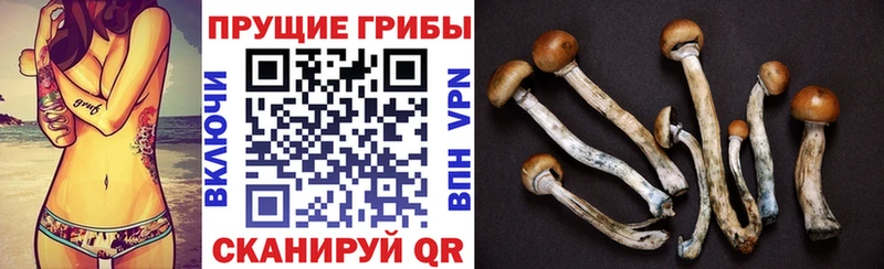 Псилоцибиновые грибы MAGIC MUSHROOMS  omg зеркало  Борисоглебск  закладка 